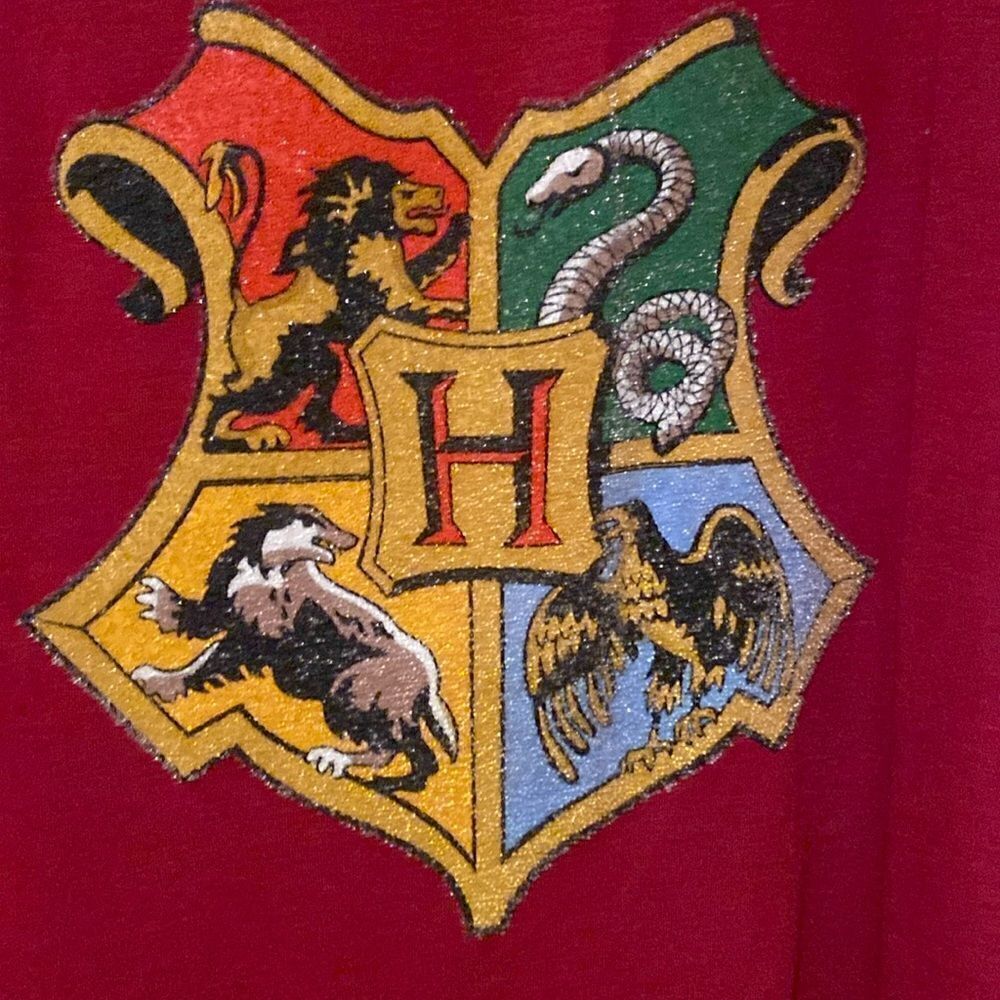 Harry Potter Burgundy Short Sleeve T Shirt Size XL